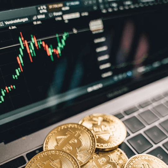 Stark Värdeborg crypto investment experts team